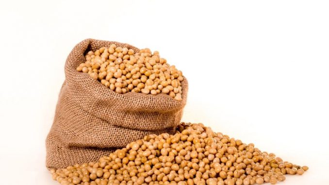 soybeans