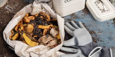 Torf jako alternatywa dla kompostu w naturalnym nawożeniu