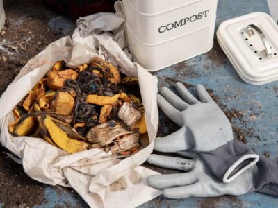 Torf jako alternatywa dla kompostu w naturalnym nawożeniu