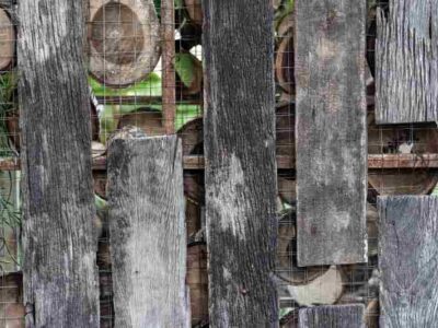 Jak nabyć i zastosować odzyskane drewno z rozbiórki domów